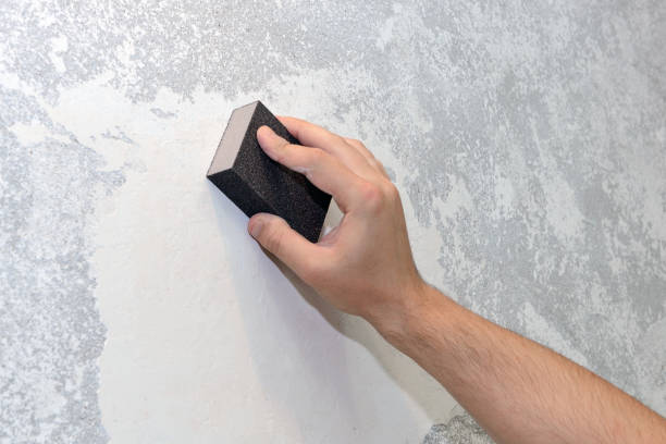 Best Crawl Space Mold Remediation  in Benton, TN