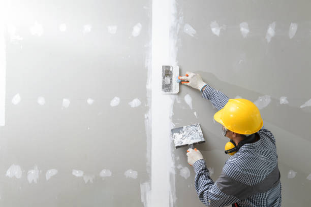Best Emergency Mold Remediation  in Benton, TN