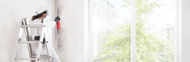 Best Real Estate Mold Inspection  in Benton, TN
