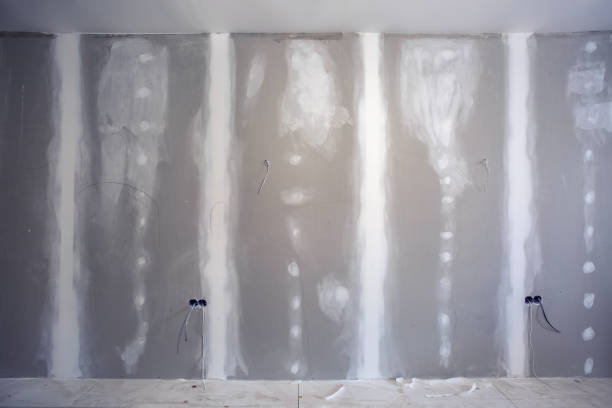 Best Dehumidification Services  in Benton, TN