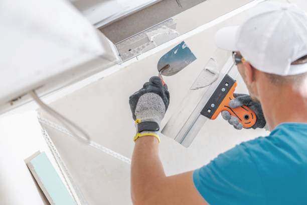 Best Residential Mold Inspection & Testing  in Benton, TN